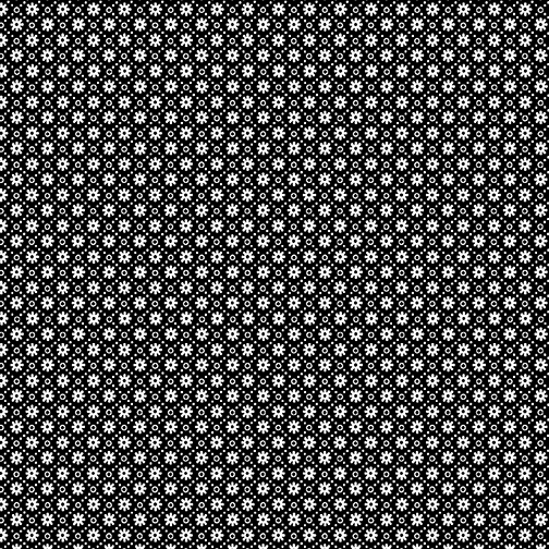 Black/White