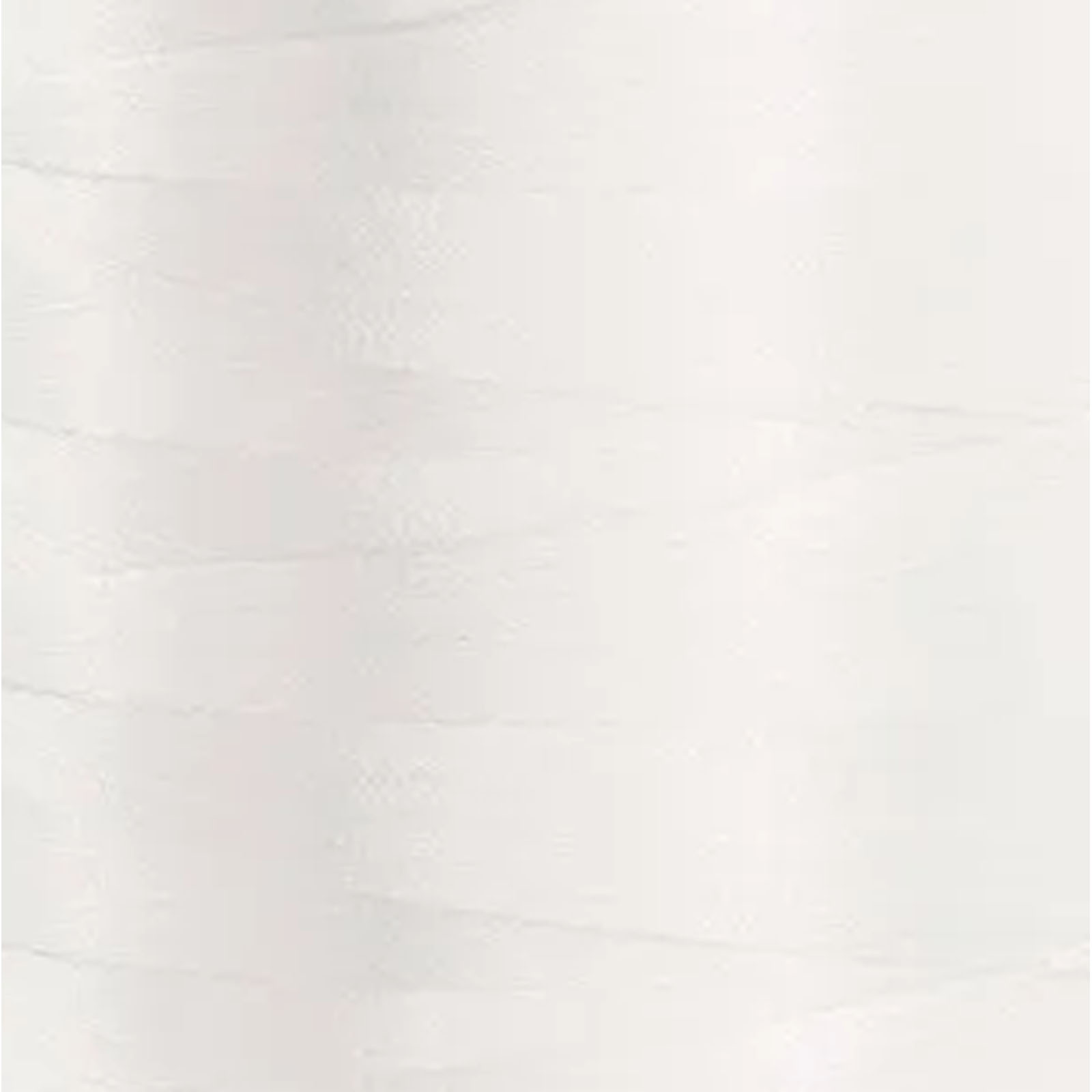10003 Bright White