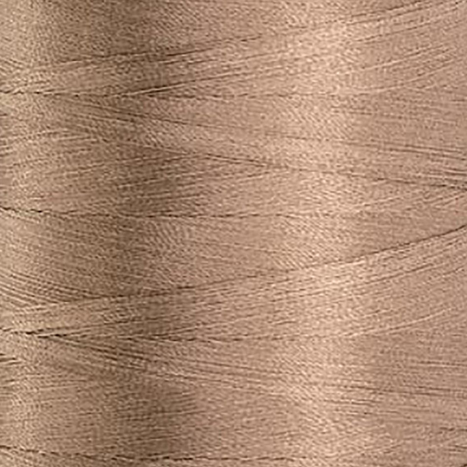 24665 Camel