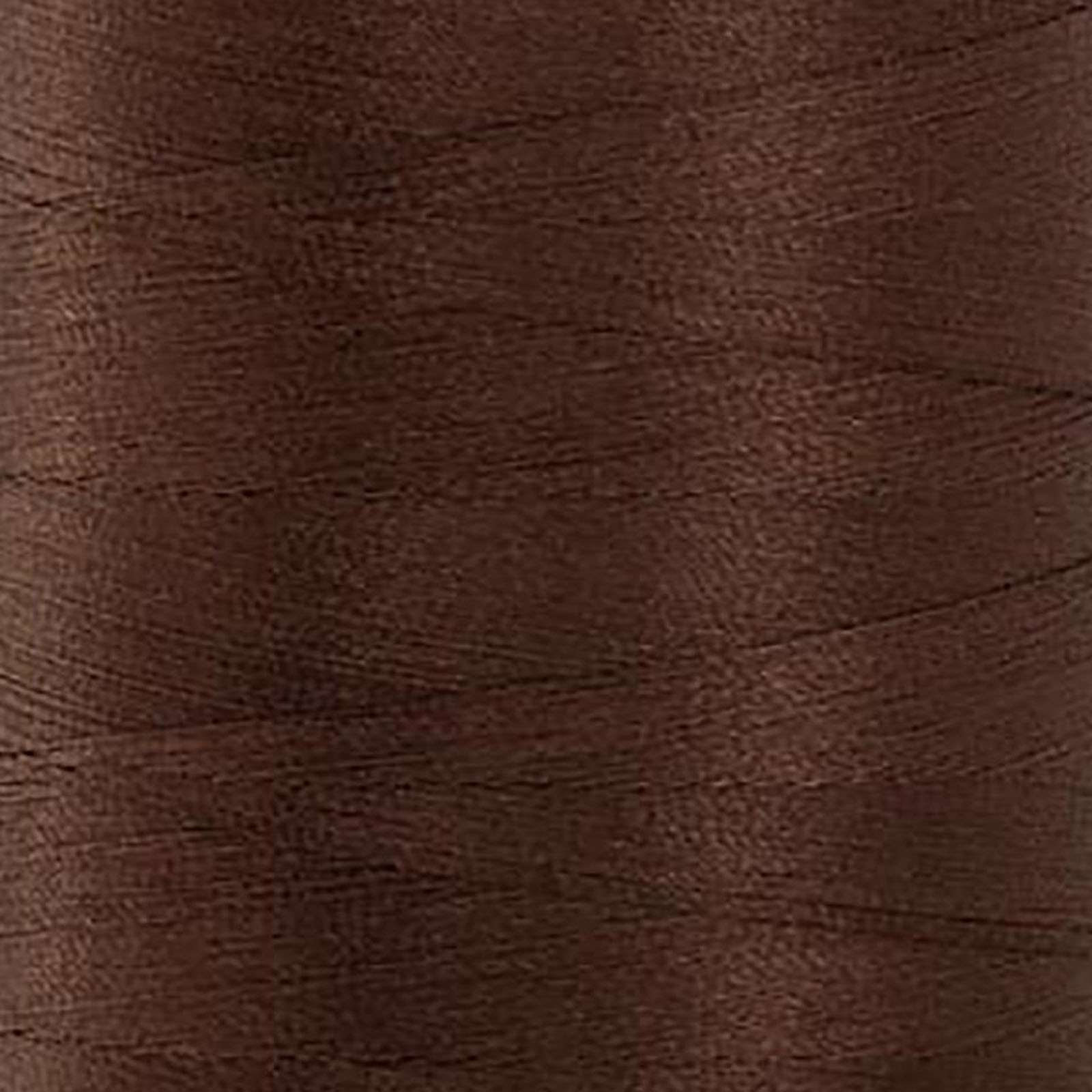 24705 Cocoa