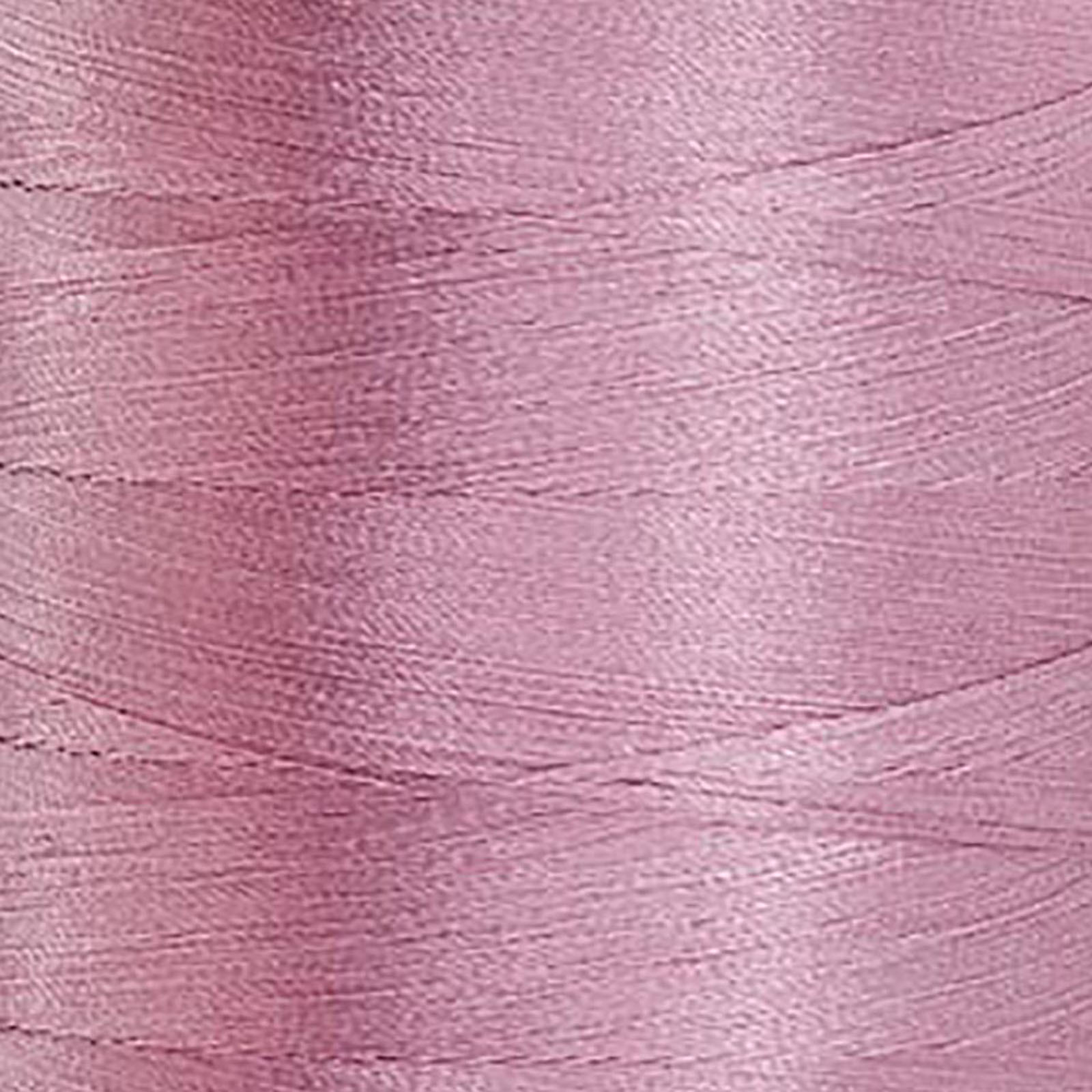42562 Periwinkle