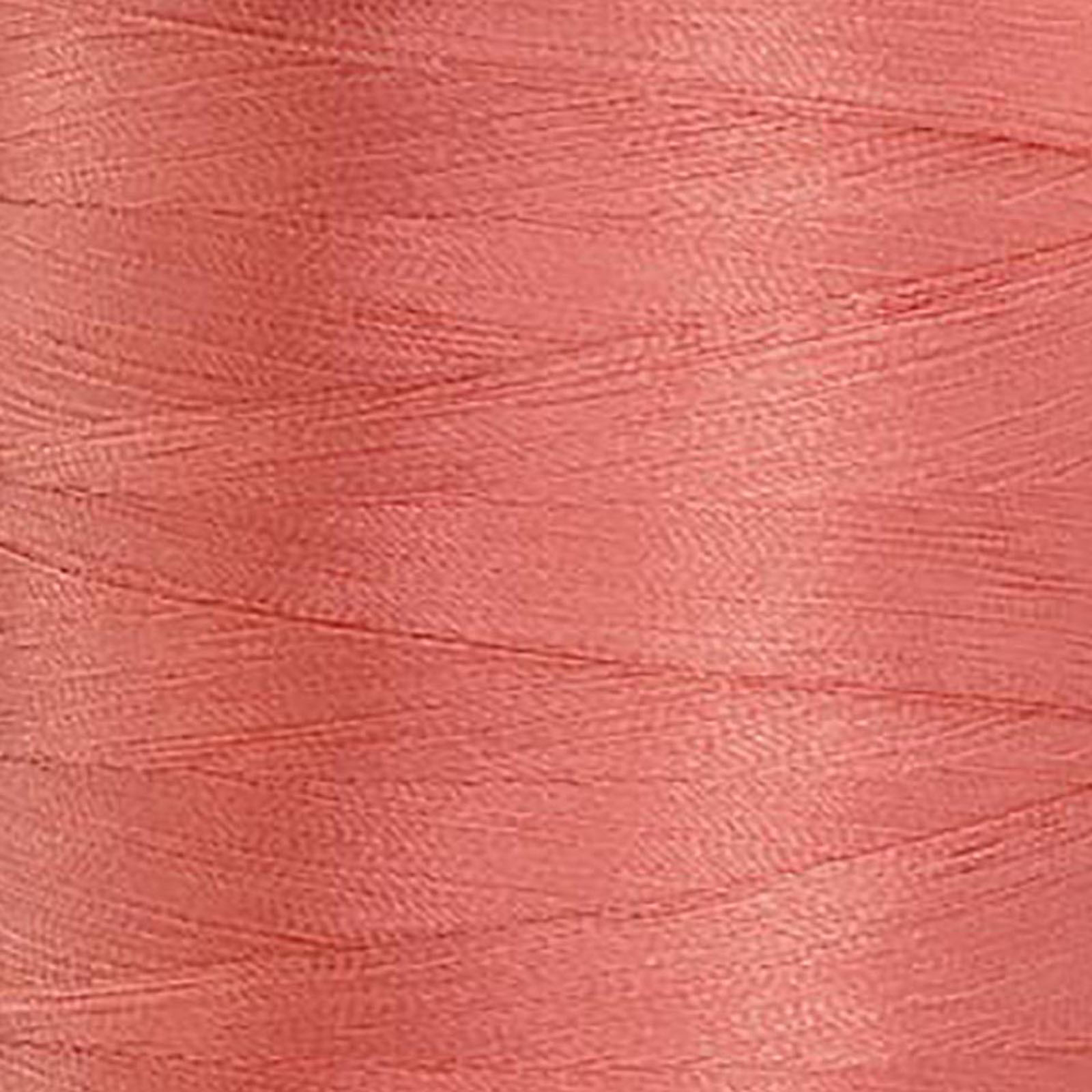 50170 Salmon