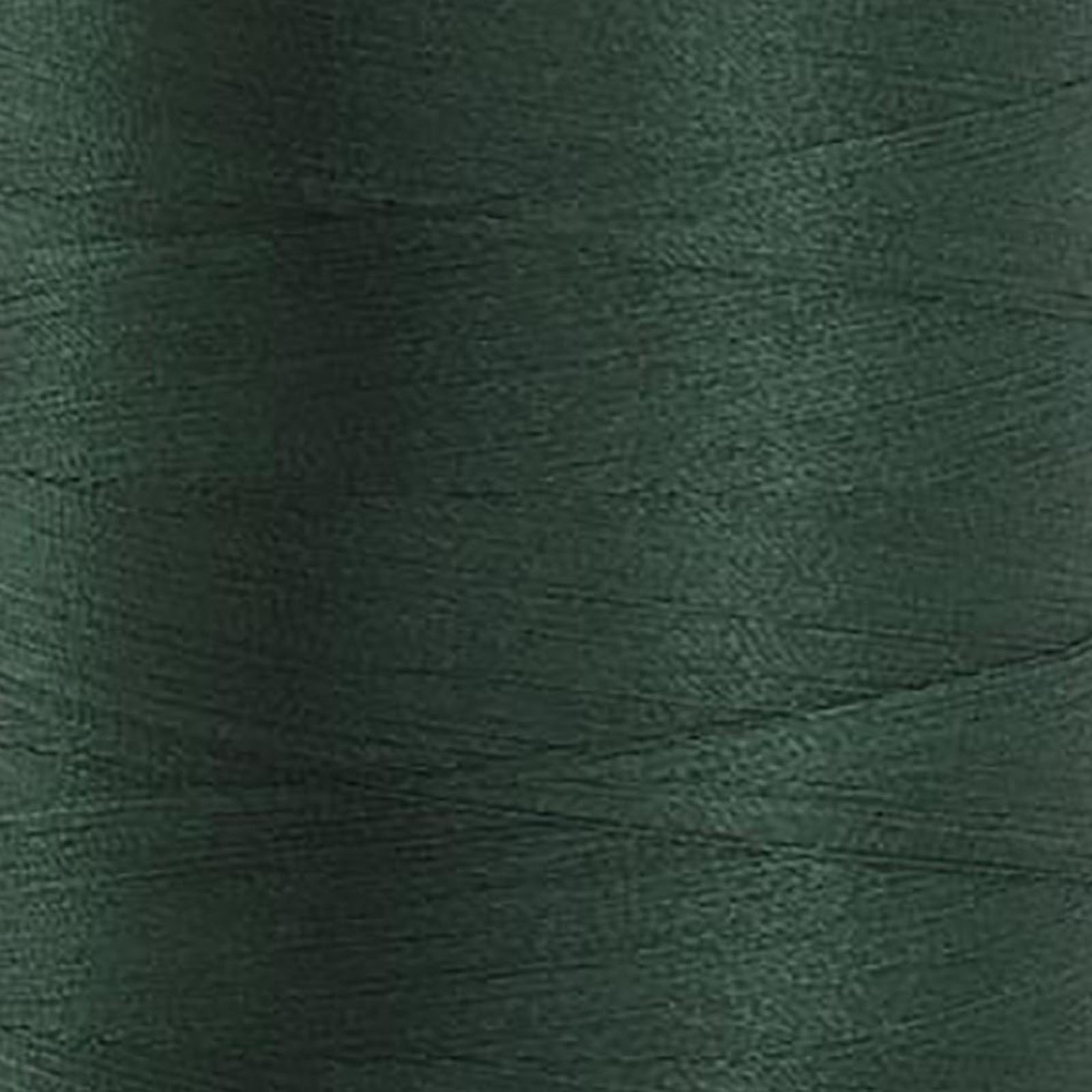 60343 Christmas Pine