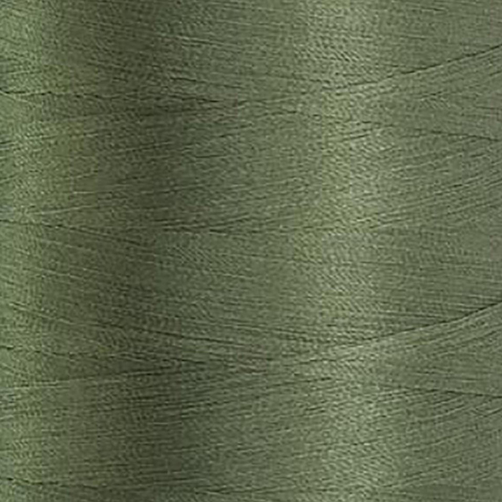 60557 Thyme