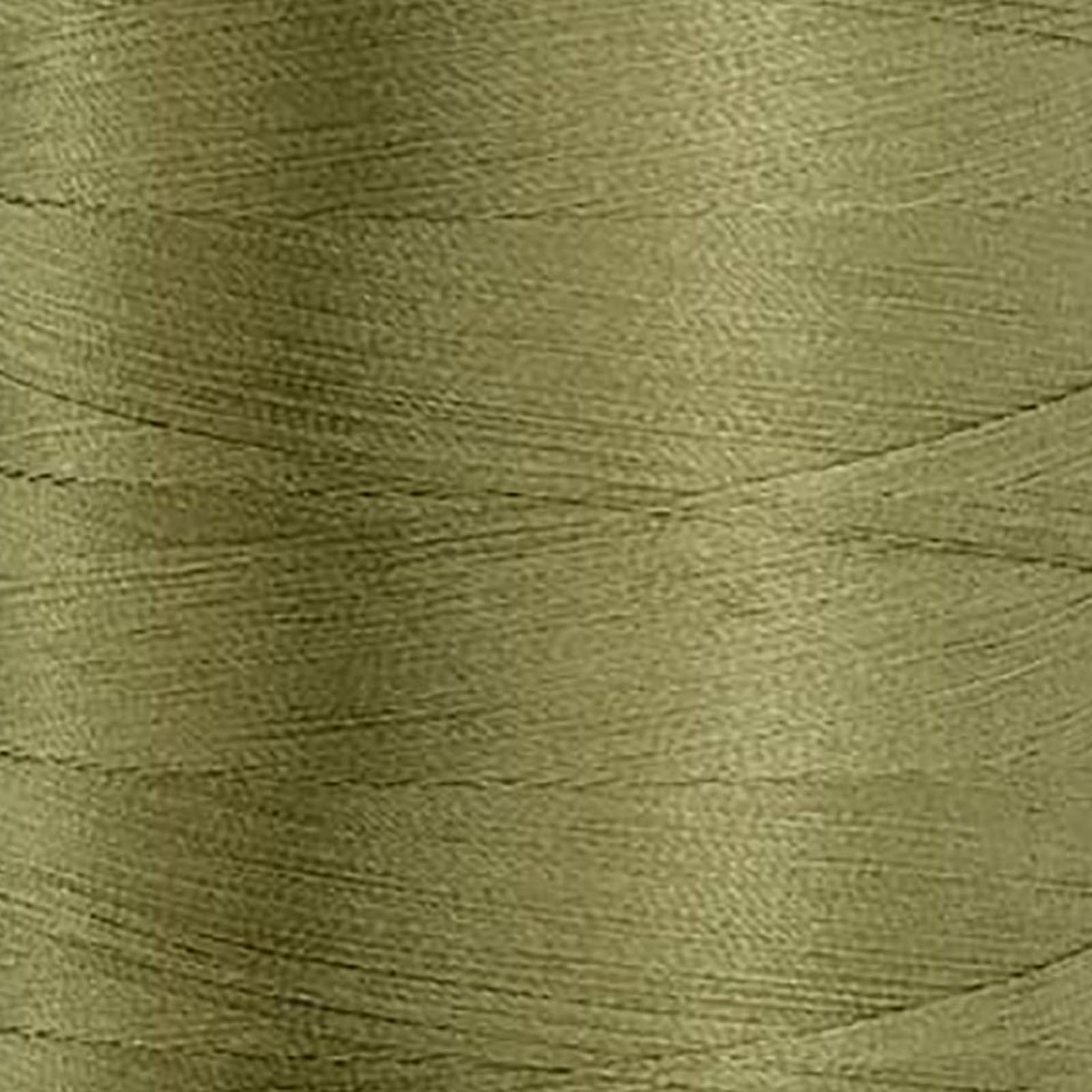 60576 Willow