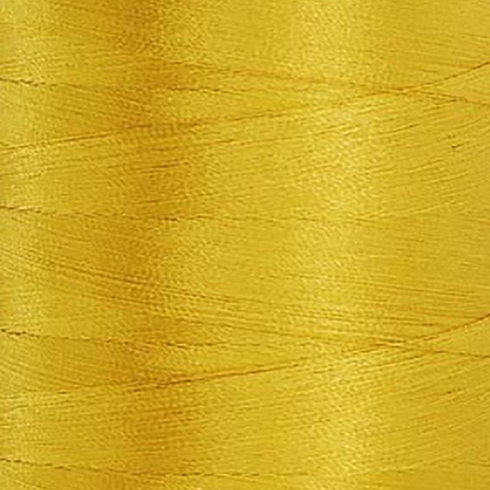 87406 Daffodil