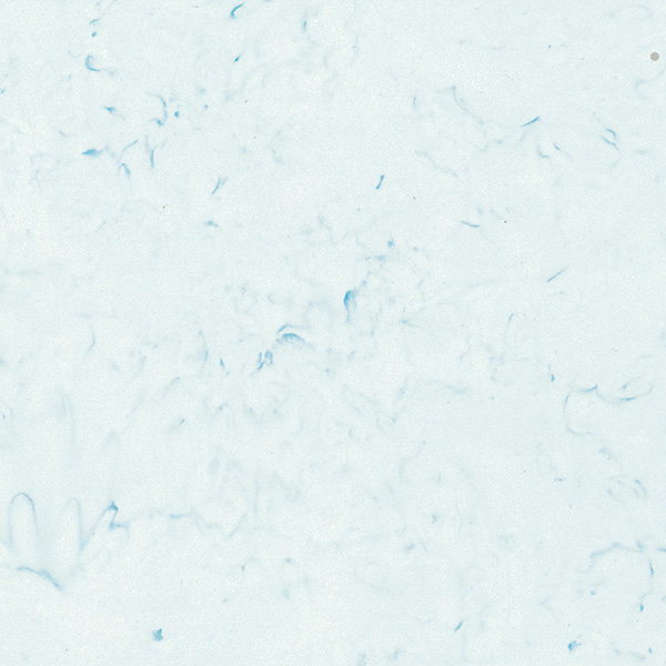 307 Snow