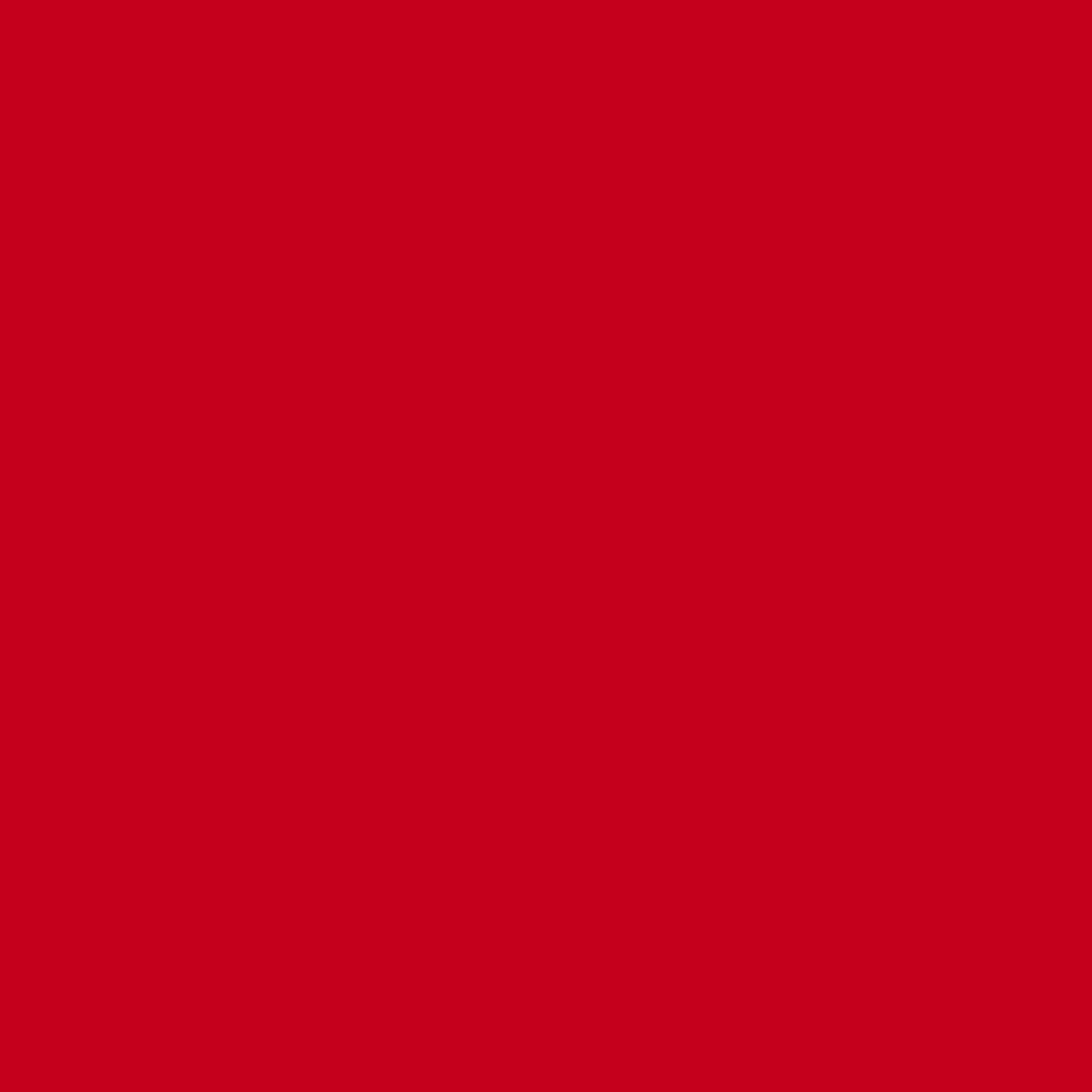 Cinnamon Bear