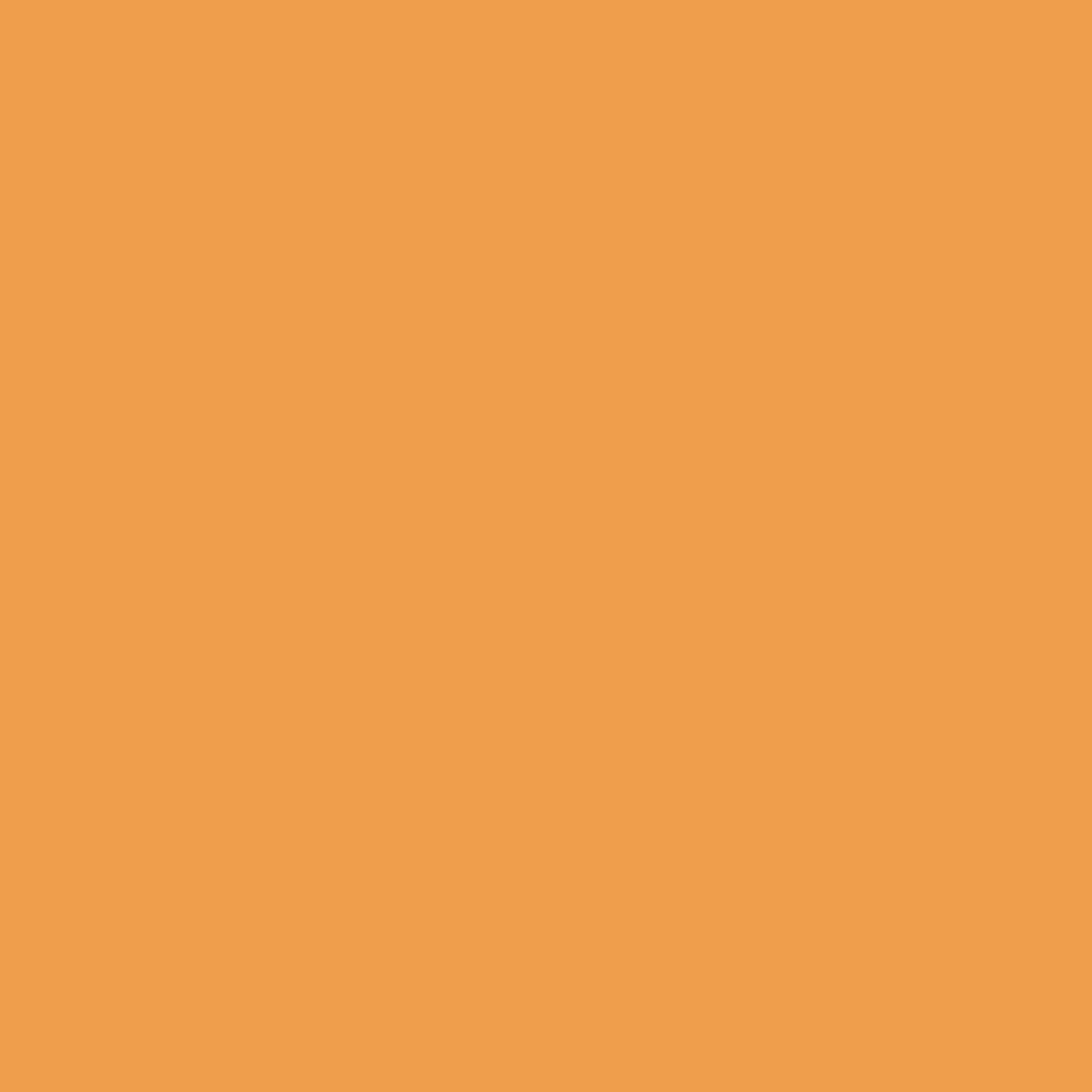 Sunlit Saffron