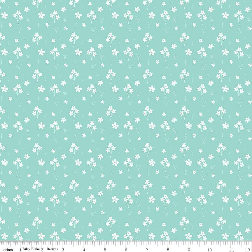 Aqua