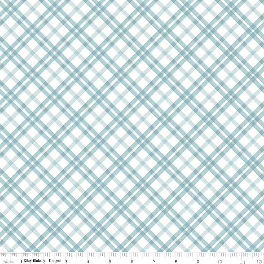 Aqua