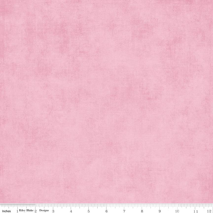 Carnation